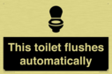 this-toilet-flushes-automatically~